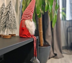 1-комнатные апартаменты люкс в Терра48 на улице Петра Смородина