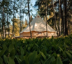 Ландышевая поляна в Котопельто