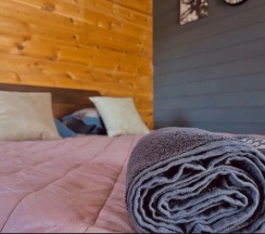 Номер Семейный в Пушкина