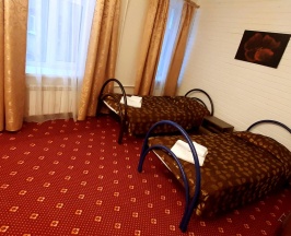 Номер эконом с 2 односпальными кроватями (удобства на этаже) в Svarog art hotel