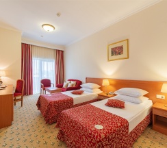 Стандарт (вид на город) с раздельными кроватями в Валентина