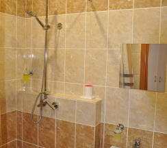 Номер люкс в Залесный