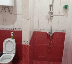Комната люкс с 1 двуспальной кроватью в Надежда