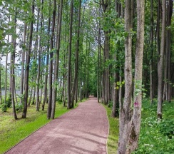 Квартира в Апартаменты на улица Липовой Рощи,1к2