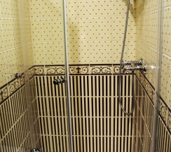 Одноместный номер EXCLUSIVE в O`Hara