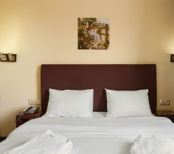 Стандарт с двуспальной кроватью в Sunflower Rumyantsevo