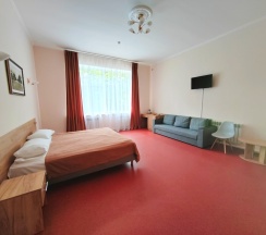 ДЕЛЮКС (без балкона) в Хвалынский Парк-Отель & SPA