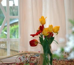 Номер Superior в Вишнёвый сад