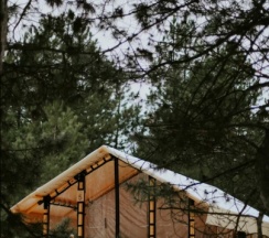 Тент-хаус в сосновом лесу в Синий Яр