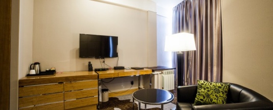 Одноместный номер Standard в Hotel-Absolute