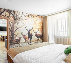 Апартаменты в Апартаменты 3-комнатные Belarus House