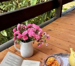 Студия с балконом в Secret Garden apart