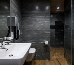 Стандарт Семейный L11 в Алтика