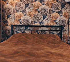 2Dbl - 2х местный номер с одной большой кроватью в Латти