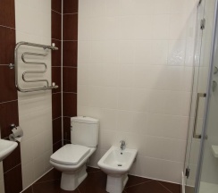 Номер стандарт с 1 двуспальной кроватью в Barocco Lv Hotel