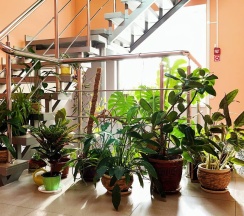 Двухместный номер с двуспальной кроватью в Афоня