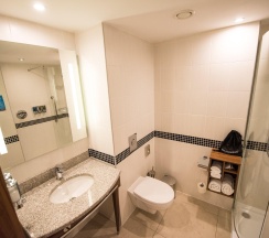 Номер стандарт с 1 двуспальной кроватью в Hampton by Hilton Ufa