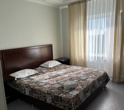 Полулюкс в Сапсан