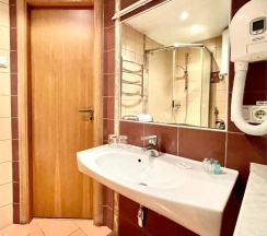 Двухместный бизнес номер (№101-105) в Владимирский дворик