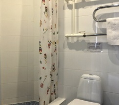 Стандартный двухместный номер с одной кроватью в В Коломне