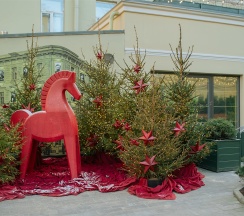 Люкс с двумя спальнями в Гимназия №5