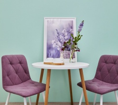 Двухместный номер с 1 двуспальной кроватью в Наше радушие