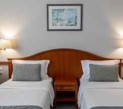 Стандарт ROH (без уточнения вида) в Одиссея Wellness Resort