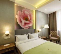 Двухместный номер Standard двуспальная кровать в RENION HILLS