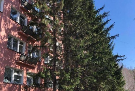 Екатеринбург: Отель Динамо