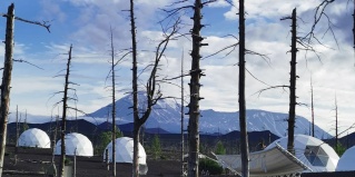 Мильковский район: Глэмпинг Толбачик Кэмп