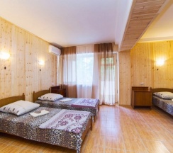 Трёхместный номер в 9-этажном корпусе Улучшенный в Колхида