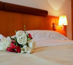 Двухместный номер Standard 2 отдельные кровати в Hotel Croatia