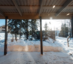 Needles Couple в Needles