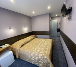 Номер стандарт с 1 двуспальной кроватью в Центральная