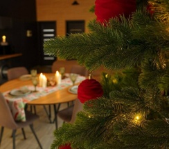 Барнхаус с личной сауной и мангальной зоной в Веслево Клуб