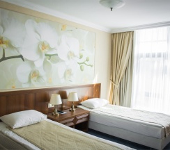 Двухместный стандарт Twin в Polaris