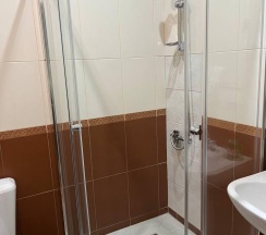 Номер стандарт с 1 двуспальной кроватью в Русь