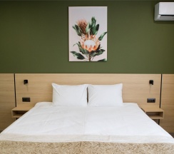 Стандарт в Амфора