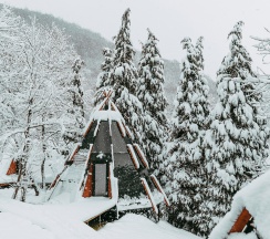 Делюкс с двуспальной кроватью в Pine River Красная Поляна