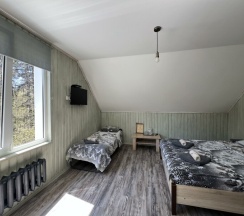 Двухместный стандарт с дополнительным местом в Пихтовый бор