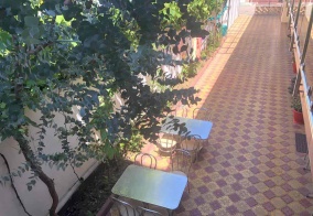 Курортный отель Дельфинчик в Сочи