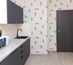 Однокомнатная_17 этаж в AntoninaApartments