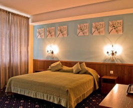 Номер Standard в Villa bogema