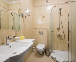 Улучшенный двухместный номер в Zion