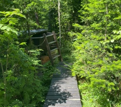 Коттедж улучшенный в Lakost