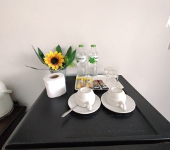 Двухместный номер Standard 2 отдельные кровати в Banana Park Hotel
