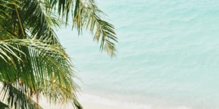 Дигура: Отель Отель Beach Hotel Dhigurah