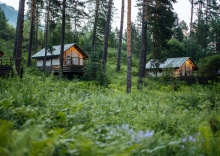 Тент-хаус с видом на лес в Чепош парк