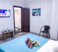 Двухместный номер Standard с балконом двуспальная кровать в Camelia