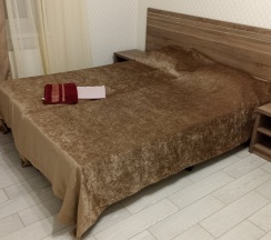 Номер Superior в Ленинградская